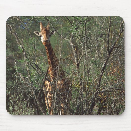 Massai Giraffe Mousepad (Vorne)