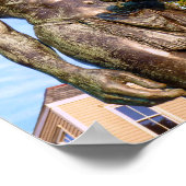 Massasoit, Plymouth, Massachusetts - Druck Poster (Ecke)