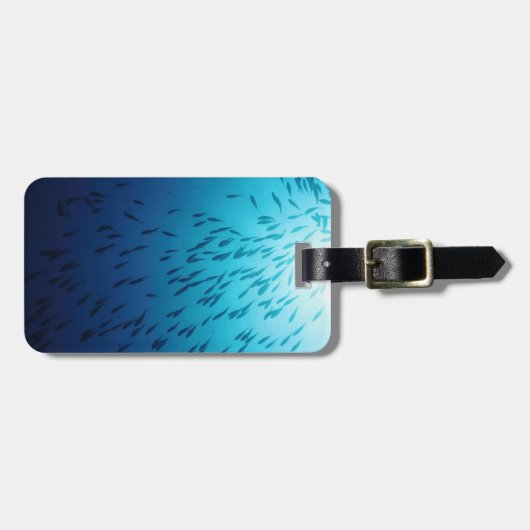 Masse der Fische Gepäckanhänger (Vorderseite horizontal)