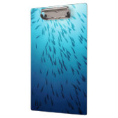 Masse der Fische Klemmbrett (Links)