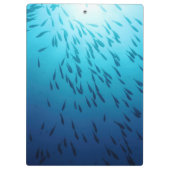 Masse der Fische Klemmbrett (Rückseite)