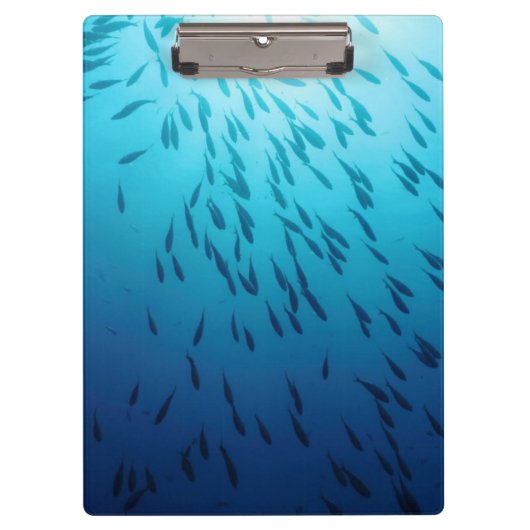 Masse der Fische Klemmbrett (Vorderseite)