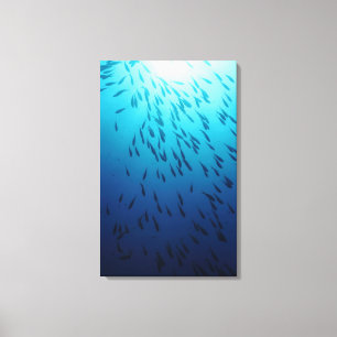 Masse der Fische Leinwanddruck