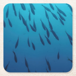 Masse der Fische Rechteckiger Pappuntersetzer