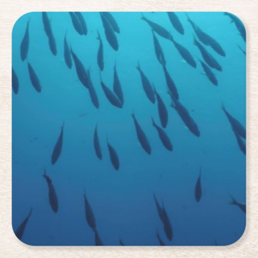 Masse der Fische Rechteckiger Pappuntersetzer (Vorderseite)