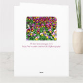 MASSE DER STIEFMÜTTERCHEN/GROSSE GEBURTSTAGSKARTE  KARTE (Rückseite)