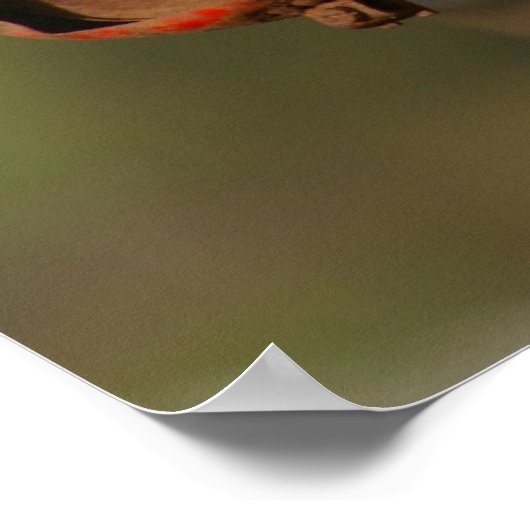 Massey Ferguson Poster (Ecke)