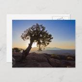 Maßgeschneidert: Canyonlands & Dead Horse Point Ca Postkarte (Vorne/Hinten)
