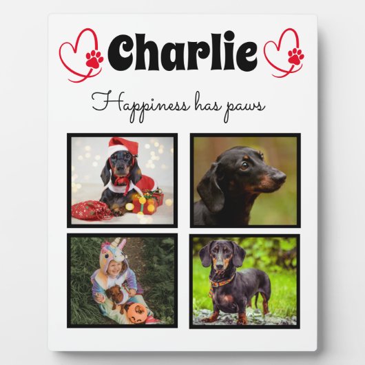 Maßgeschneiderte 4-Foto-Hundedecke Fotoplatte (Vorderseite)