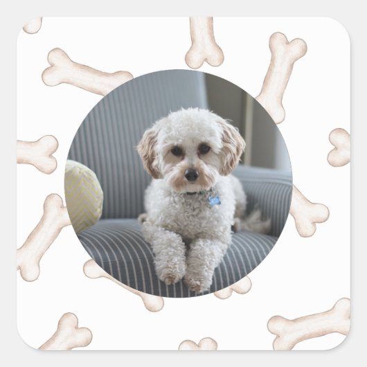 Maßgeschneiderte Aufkleber für das Dog-Knochen-Fot (Vorderseite)