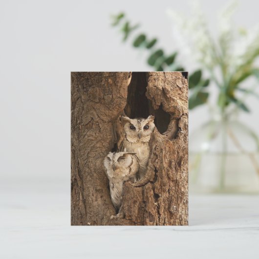 Maßgeschneiderte Eule-Karten, Postkarten, Sticker Postkarte (Stehend Vorderseite)
