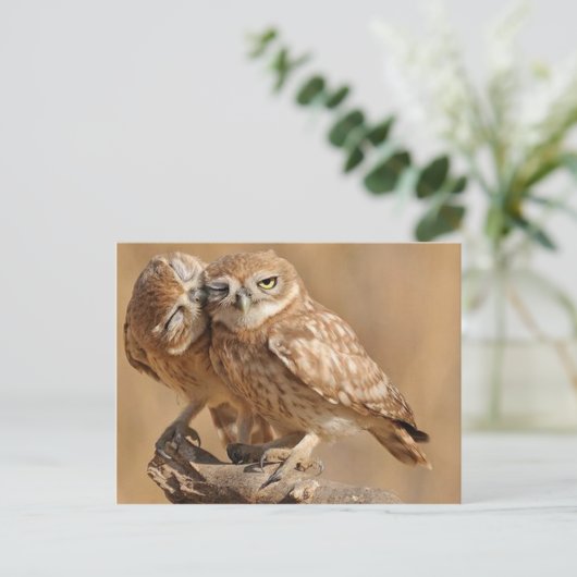 Maßgeschneiderte Eule-Karten, Postkarten, Sticker Postkarte (Stehend Vorderseite)