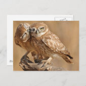 Maßgeschneiderte Eule-Karten, Postkarten, Sticker Postkarte (Vorne/Hinten)
