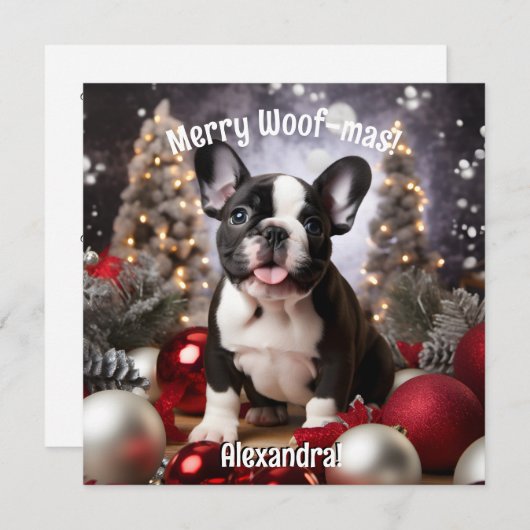 Maßgeschneiderte Festivitäten Frenchie Harmonie (Vorne/Hinten)