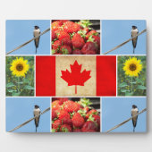Maßgeschneiderte Foto-Collage & Flag CANADA Fotoplatte (Vorderseite)