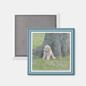 Maßgeschneiderte Fotoplatte Modernes Türkis & Weiß Magnet (Vorderseite/Rückseite)