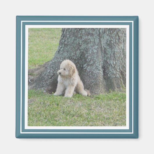 Maßgeschneiderte Fotoplatte Modernes Türkis & Weiß Magnet (Vorne)