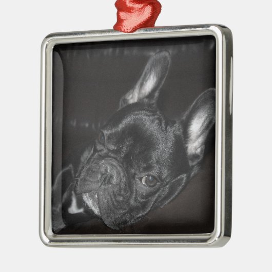 Maßgeschneiderte französische Bulldogge Ornament Aus Metall (Links)