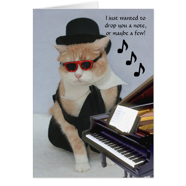 Maßgeschneiderte Funny Cat (Vorne)