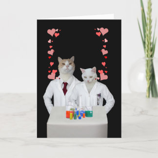 Maßgeschneiderte Funny Chemistry Cats Feiertagskarte
