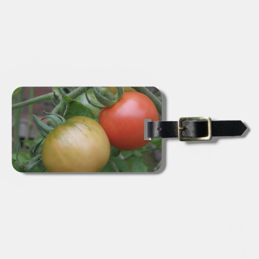 Maßgeschneiderte Gepäckmarke für Orange und Rote T Gepäckanhänger (Vorderseite horizontal)