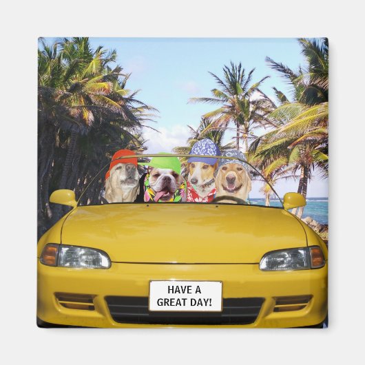 Maßgeschneiderte Hunde in Cabrio Magnet (Vorne)