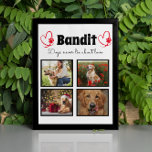 Maßgeschneiderte Hundedecke der Familie 4 Foto Fotoplatte<br><div class="desc">Feiern Sie Ihren besten Freund mit einer individuellen Foto Collage-Plakette. Wenn du so viele Erinnerungen und Fotos hast, reicht ein Foto nicht aus. Dieses Poster hat 4 Fotos, ein Zitat, und Sie können den Namen Ihres Haustieres personalisieren. Sie können auch die Farbe des Pfotendrucks ändern. Sie können die Farbe und...</div>