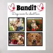 Maßgeschneiderte Hundekollektion der Familie 4 Fot Poster (Vorne)