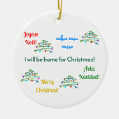 Maßgeschneiderte internationale Weihnachtsschmuck (Vorne)