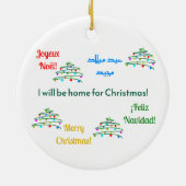 Maßgeschneiderte internationale Weihnachtsschmuck (Hinten)