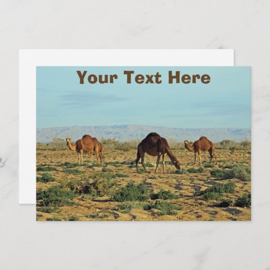 Maßgeschneiderte Kammerkarten (Vorne/Hinten)