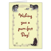 Maßgeschneiderte Katze (Vorne)