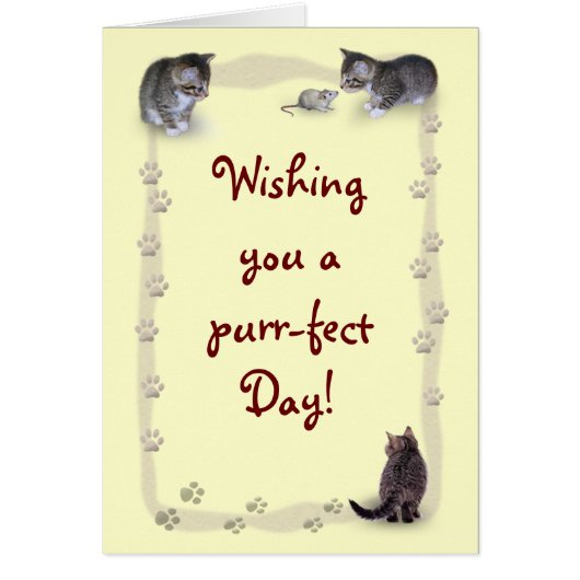 Maßgeschneiderte Katze (Vorne)