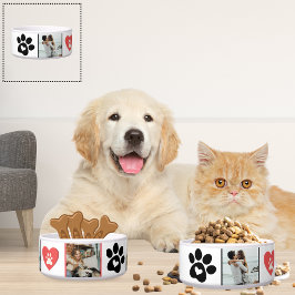 Maßgeschneiderte Katzenfoto-Sammelbox - Rot und Bl Napf