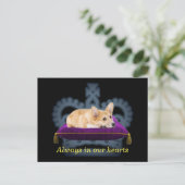 Maßgeschneiderte Kissen-Kissen-Kröte Postkarte (Stehend Vorderseite)