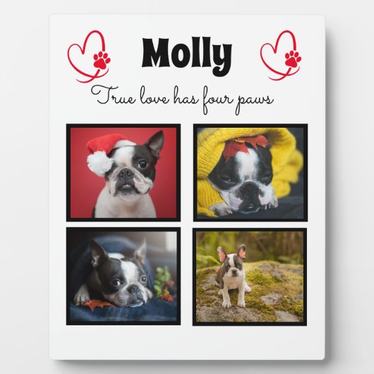 Maßgeschneiderte Kollage für Hunde 4 Fotos Fotoplatte (Vorderseite)