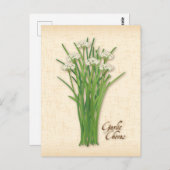 Maßgeschneiderte Kräuterpackung Postkarte (Vorne/Hinten)