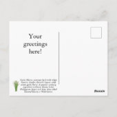 Maßgeschneiderte Kräuterpackung Postkarte (Rückseite)