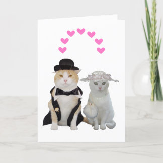 Maßgeschneiderte, lustige, Hübsche Katzen Valentin Feiertagskarte