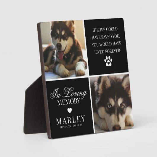 Maßgeschneiderte moderne Foto-Gedenkstätte Fotoplatte (Vorderseite)