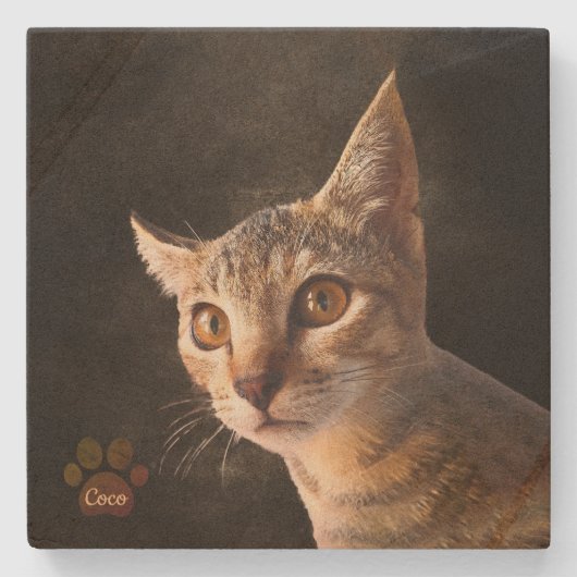 Maßgeschneiderte Niedliche Katze Katzen Dosenvorla Steinuntersetzer (Vorderseite)