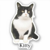 Maßgeschneiderte Pet-Aufkleber Wasserfeste, benutz Aufkleber (Vorderseite)