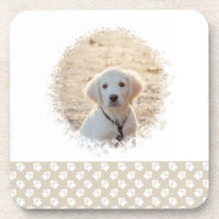 Maßgeschneiderte Pet-Fotovorlage und weiße Pasten 
