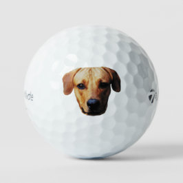 Maßgeschneiderte Picture Golf Balls mit Hundegesic Golfball