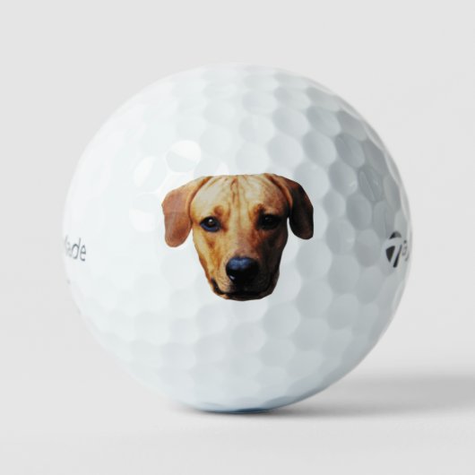 Maßgeschneiderte Picture Golf Balls mit Hundegesic Golfball (Vorderseite)