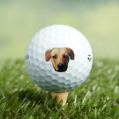 Maßgeschneiderte Picture Golf Balls mit Hundegesic Golfball (Insitu T-Shirt)