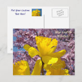Maßgeschneiderte PostkartenDüfte Blume blühen Postkarte (Vorne/Hinten)