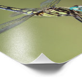 Maßgeschneiderte Print, Dragonfly mit Vortex-Augen Fotodruck (Ecke)