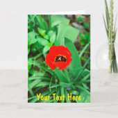 Maßgeschneiderte rote Tulpe Karte (Vorderseite)
