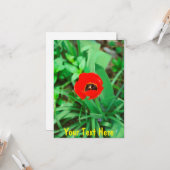 Maßgeschneiderte rote Tulpe Karte (Vorderseite/Rückseite Beispiel)